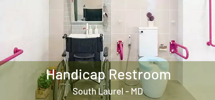 Handicap Restroom South Laurel - MD