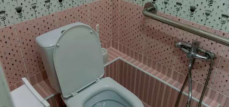 Meeting Diverse Needs With Accessible Restroom Solutions in South Laurel, MD